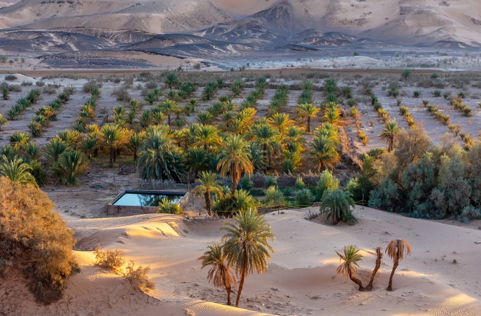 The Sand Road gallery 2