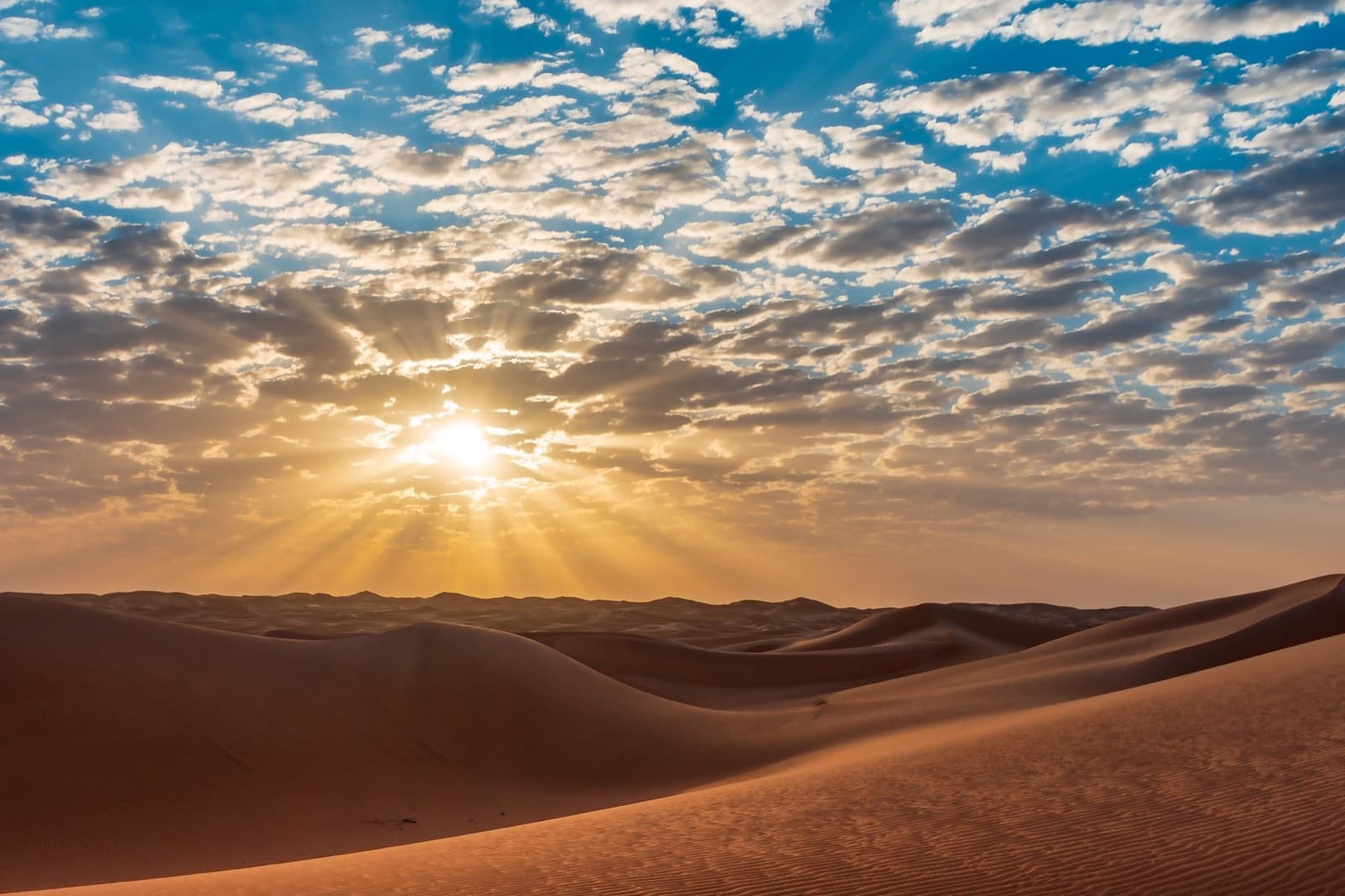 The Sand Road