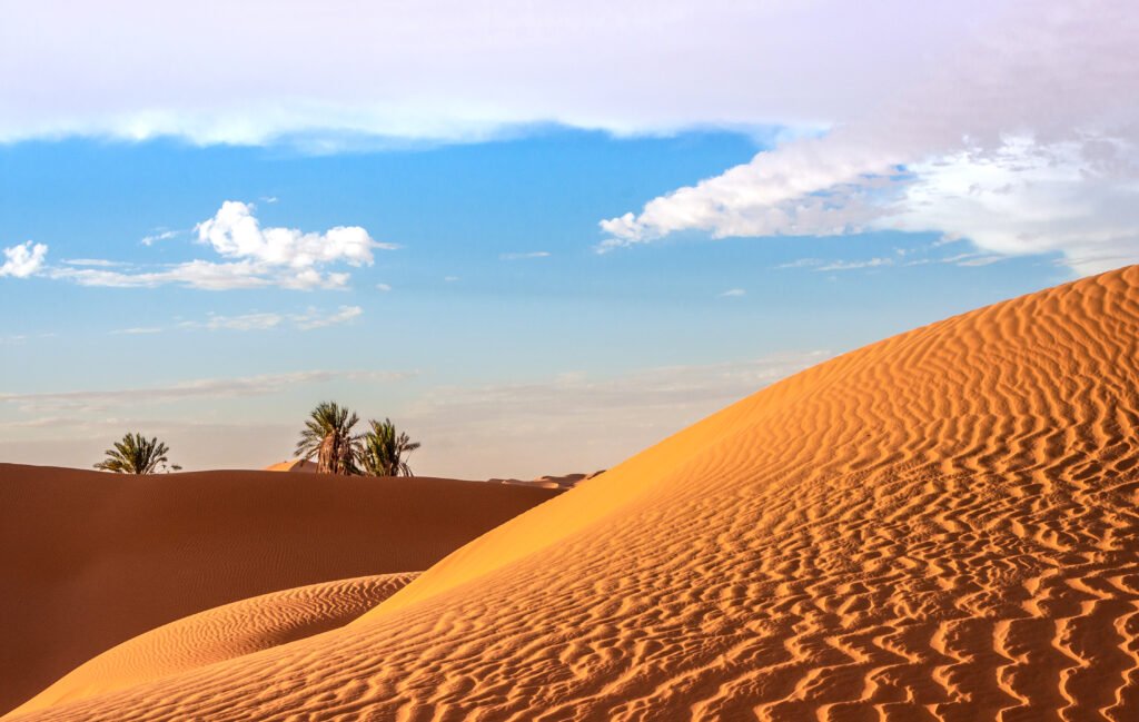 Wind carved dunes under a blue sky