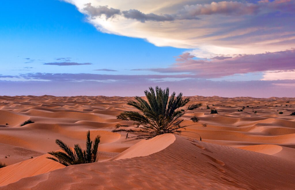Desert dunes with palm trees under a colorful sky